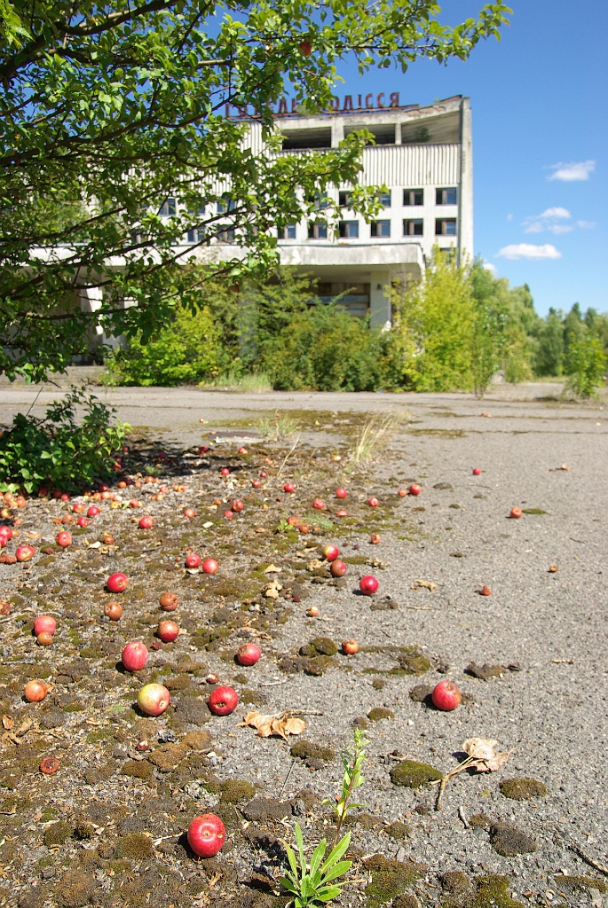 IMGP7517.jpg - Halálos almák Deadly apples